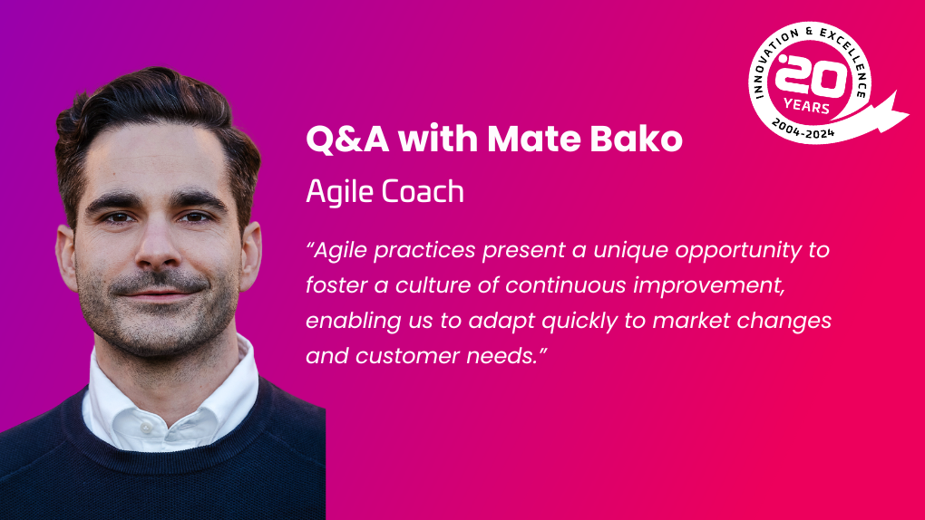 Agile coach