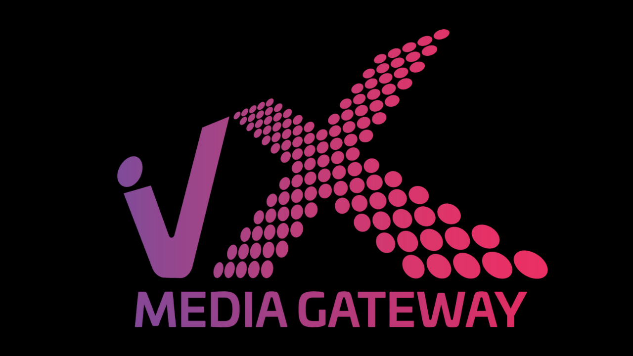 VX Media Gateway